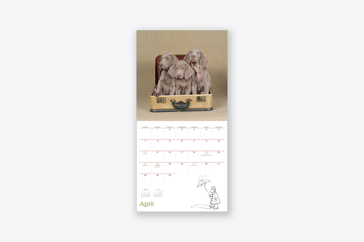 William Wegman Puppies 2019 Wall Calendar (Wall) ABRAMS