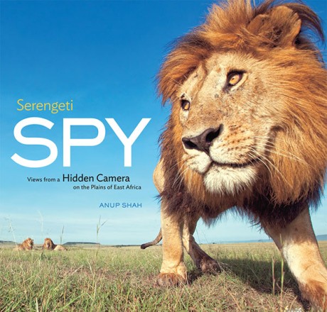 Cover image for Serengeti Spy Views from a Hidden Camera on the Plains of East Africa