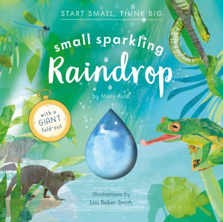 Cover image for Small Sparkling Raindrop (Start Small, Think Big #5)