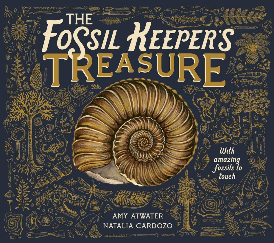 Fossil Keeper's Treasure With Amazing Fossils to Touch