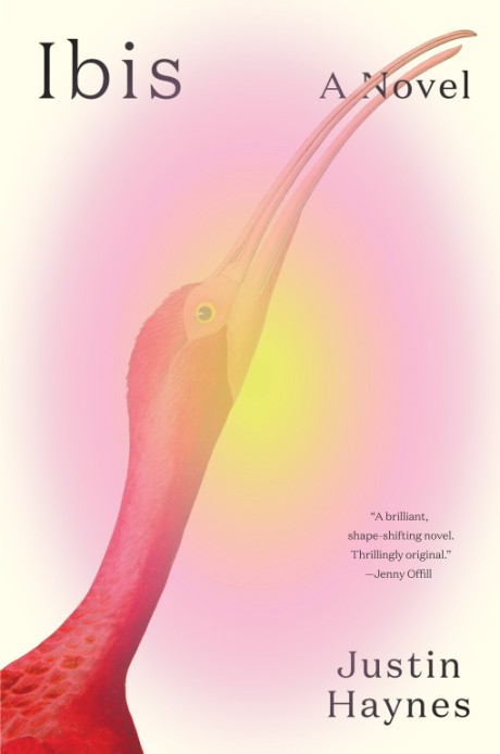 Cover image for Ibis A Novel