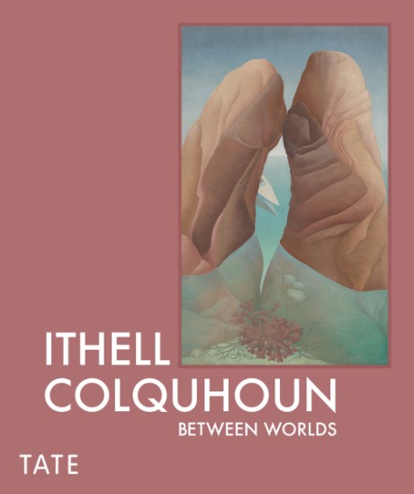 Cover image for Ithell Colquhoun