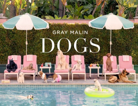 Cover image for Gray Malin: Dogs