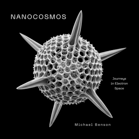 Cover image for Nanocosmos Journeys in Electron Space