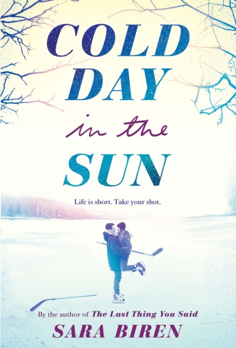 Cover image for Cold Day in the Sun A Novel