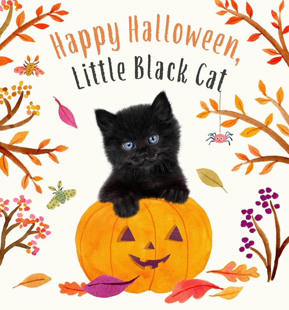 Happy Halloween, Little Black Cat A Board Book