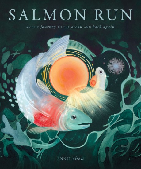 Cover image for Salmon Run An epic journey to the ocean and back