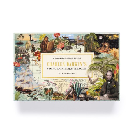 Cover image for Voyage of HMS Beagle Charles Darwin's Journey of Discovery: a 1000-piece Jigsaw Puzzle