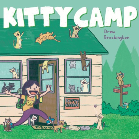 Kitty Camp A Picture Book