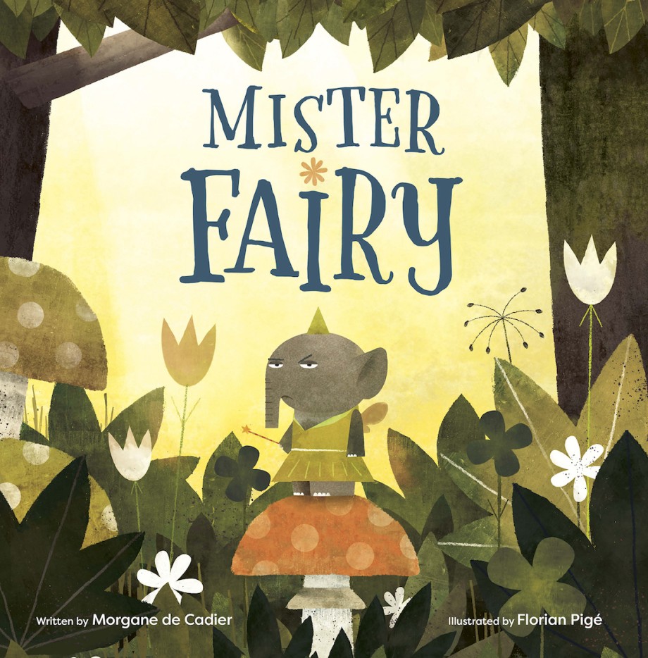 Cover for Mister Fairy