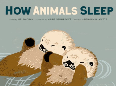 Cover image for How Animals Sleep