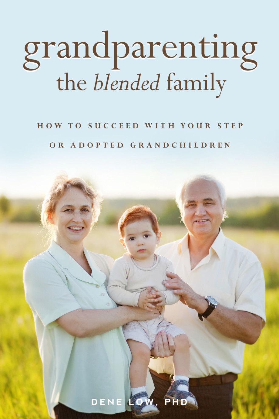 Grandparenting the Blended Family How to Succeed With Your Step or Adopted Grandchildren
