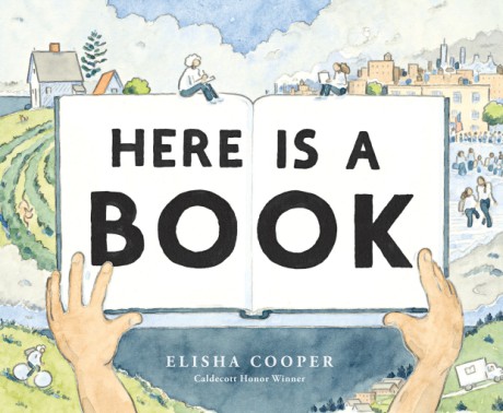 Cover image for Here Is a Book A Picture Book