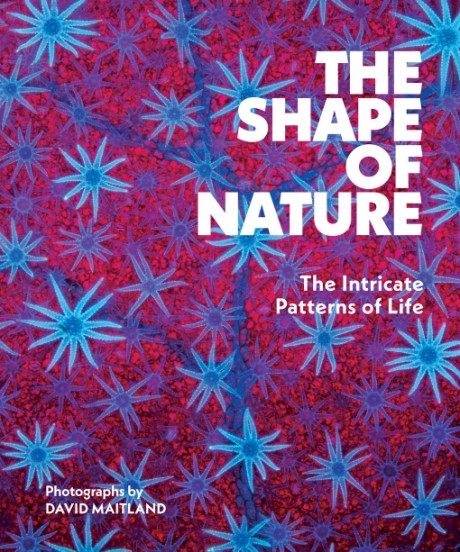 Cover image for Shape of Nature The Intricate Patterns of Life