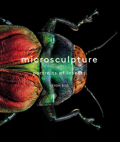 Cover image for Microsculpture Portraits of Insects