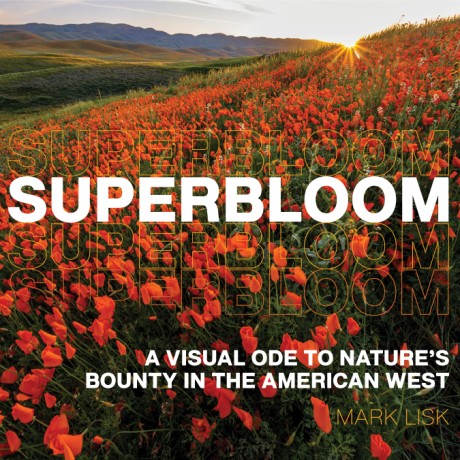 Cover image for Superbloom A Visual Ode to Nature's Bounty in the American West