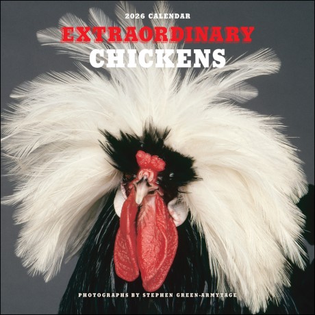 Cover image for Extraordinary Chickens 2026 Wall Calendar