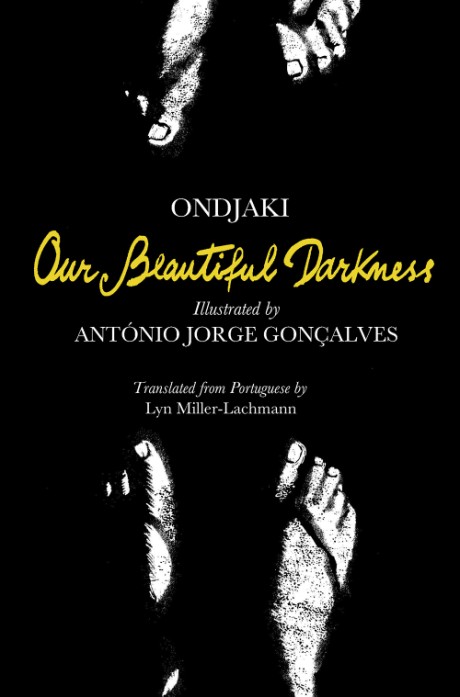 Cover image for Our Beautiful Darkness