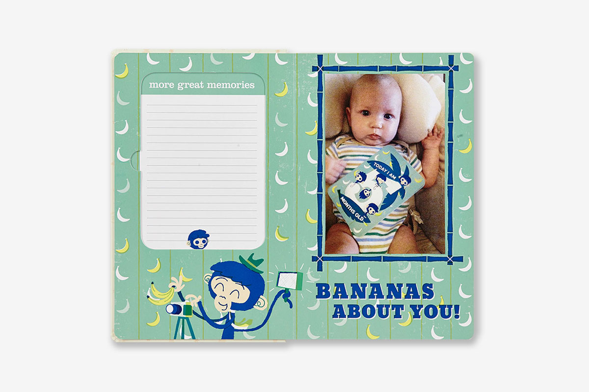 Baby's First Year Photo Board Book