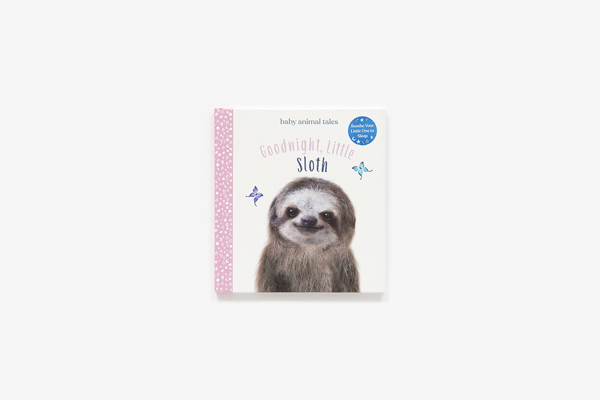 Sloth Activity Book For Kids: Large Sloth Activity Book For Kids