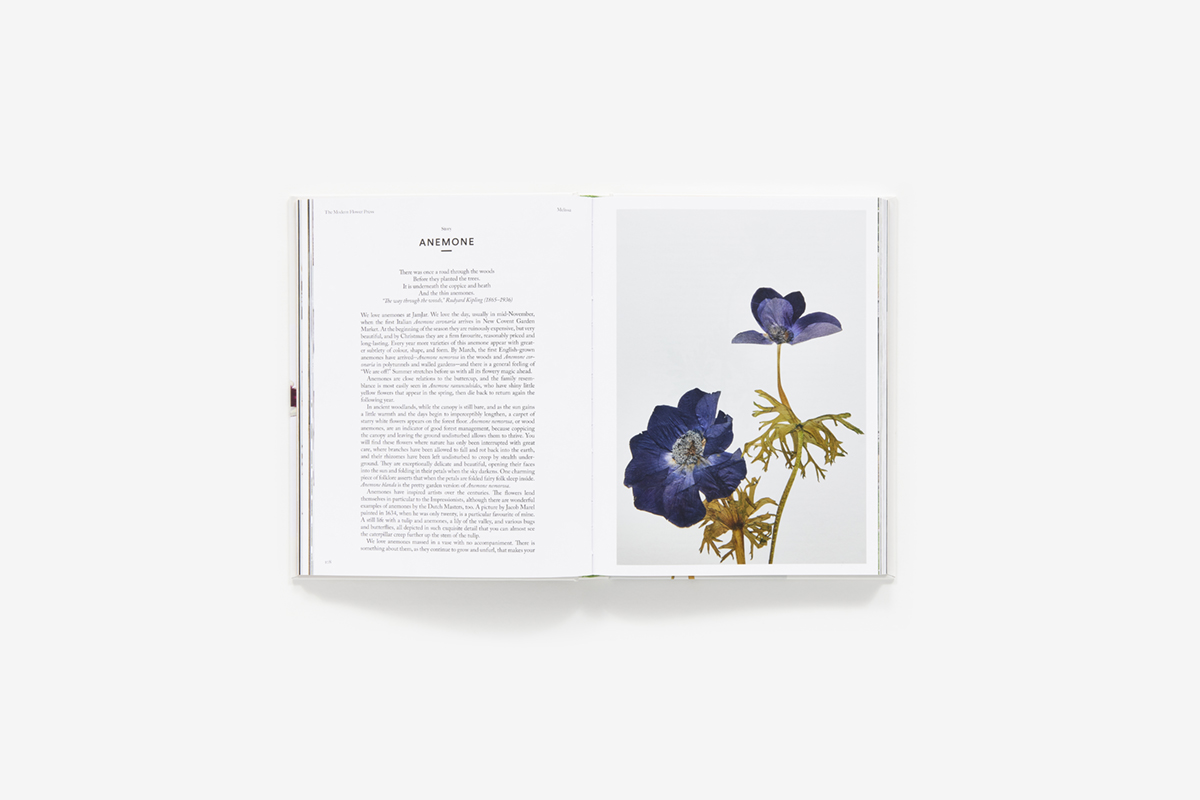 PREORDER: Travel/Storage Flower Press — Modern Pressed Flower